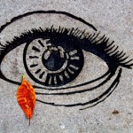 Fall Eye © David L. Harkins